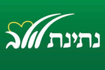 נתינת לולב